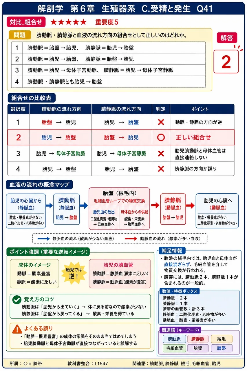 臍動脈・臍静脈と血液の流れ方向の組合せとして正しいのはどれか。 解説図