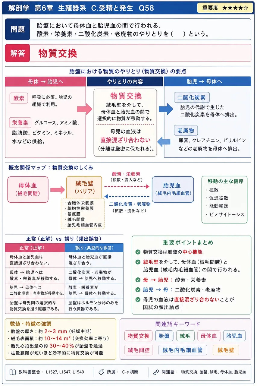 胎盤において母体血と胎児血の間で行われる、酸素・栄養素・二酸化炭素・老廃物のやりとりを( )という。 解説図