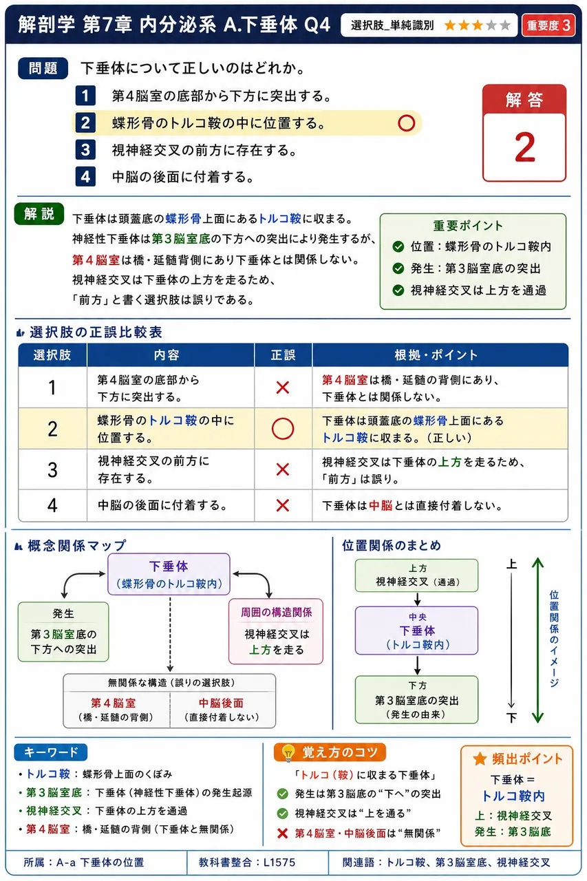 下垂体について正しいのはどれか。 解説図