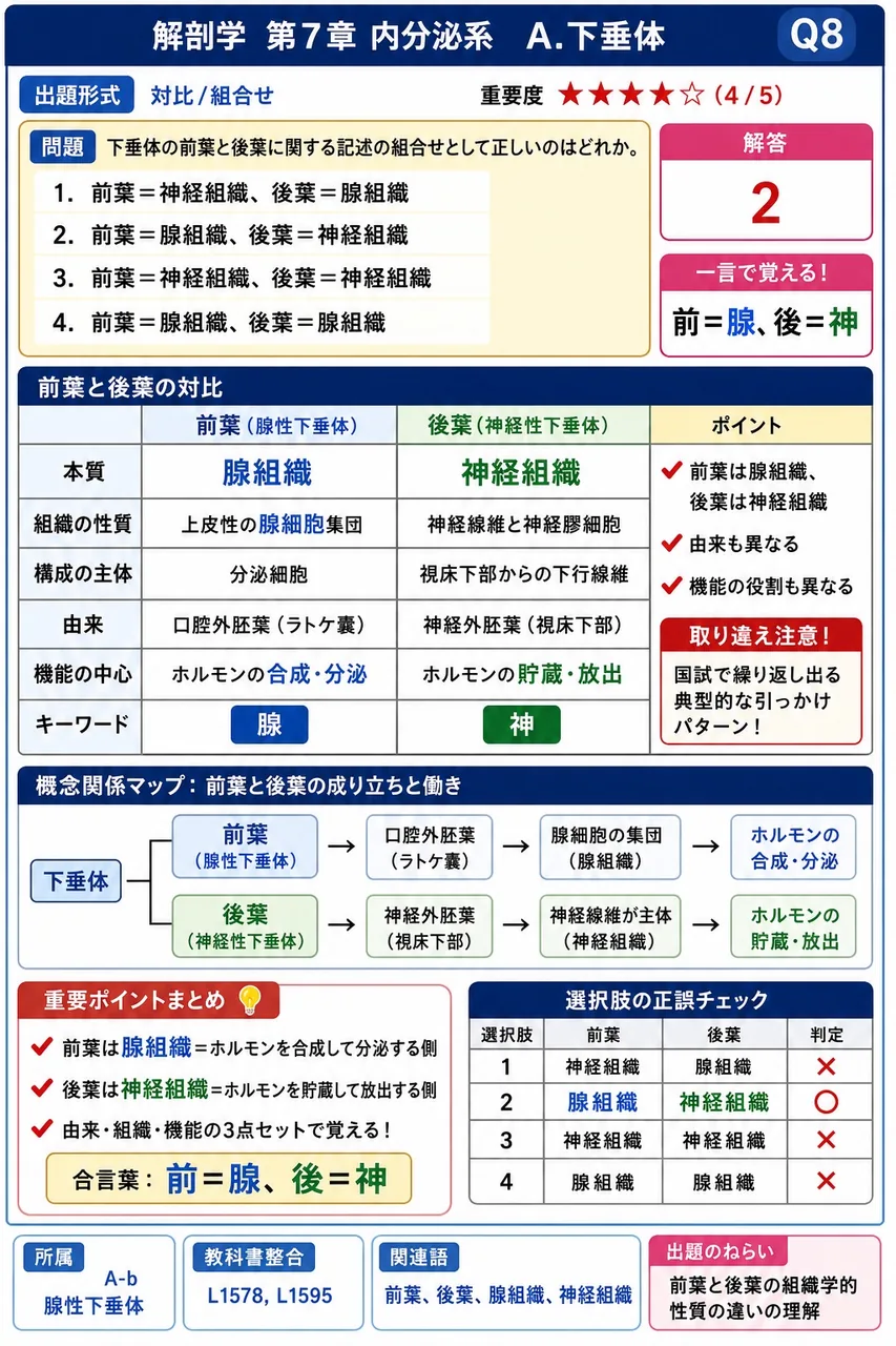 下垂体の前葉と後葉に関する記述の組合せとして正しいのはどれか。 解説図