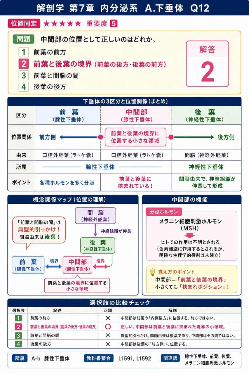 中間部の位置として正しいのはどれか。 解説図