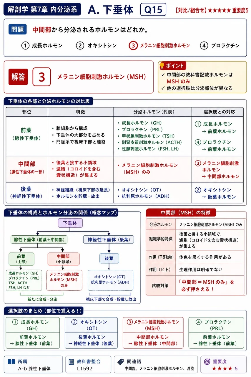 中間部から分泌されるホルモンはどれか。 解説図