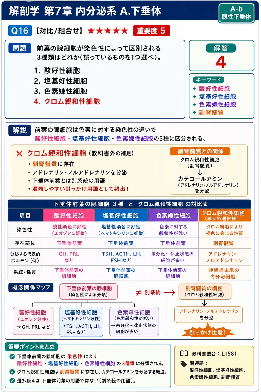 前葉の腺細胞が染色性によって区別される3種類はどれか(誤っているものを1つ選べ)。 解説図