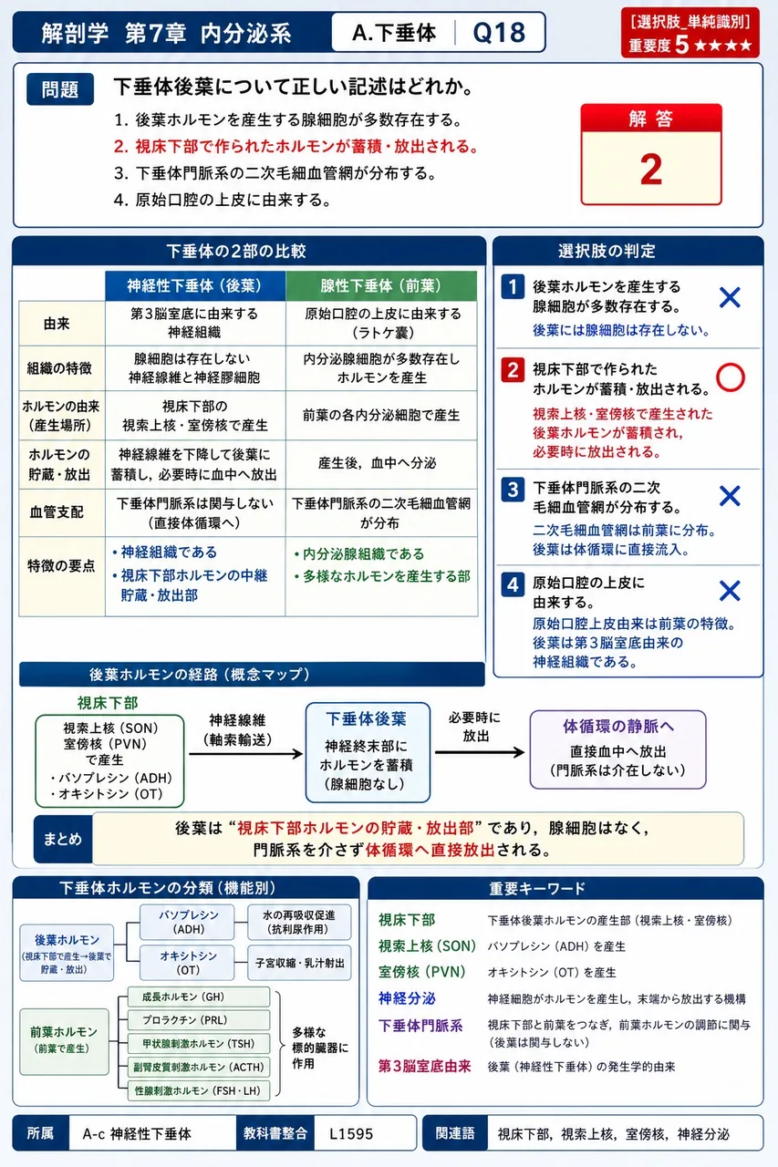 下垂体後葉について正しい記述はどれか。 解説図