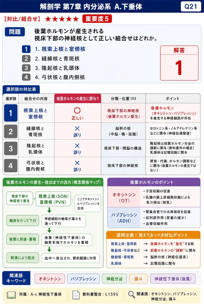 後葉ホルモンが産生される視床下部の神経核として正しい組合せはどれか。 解説図