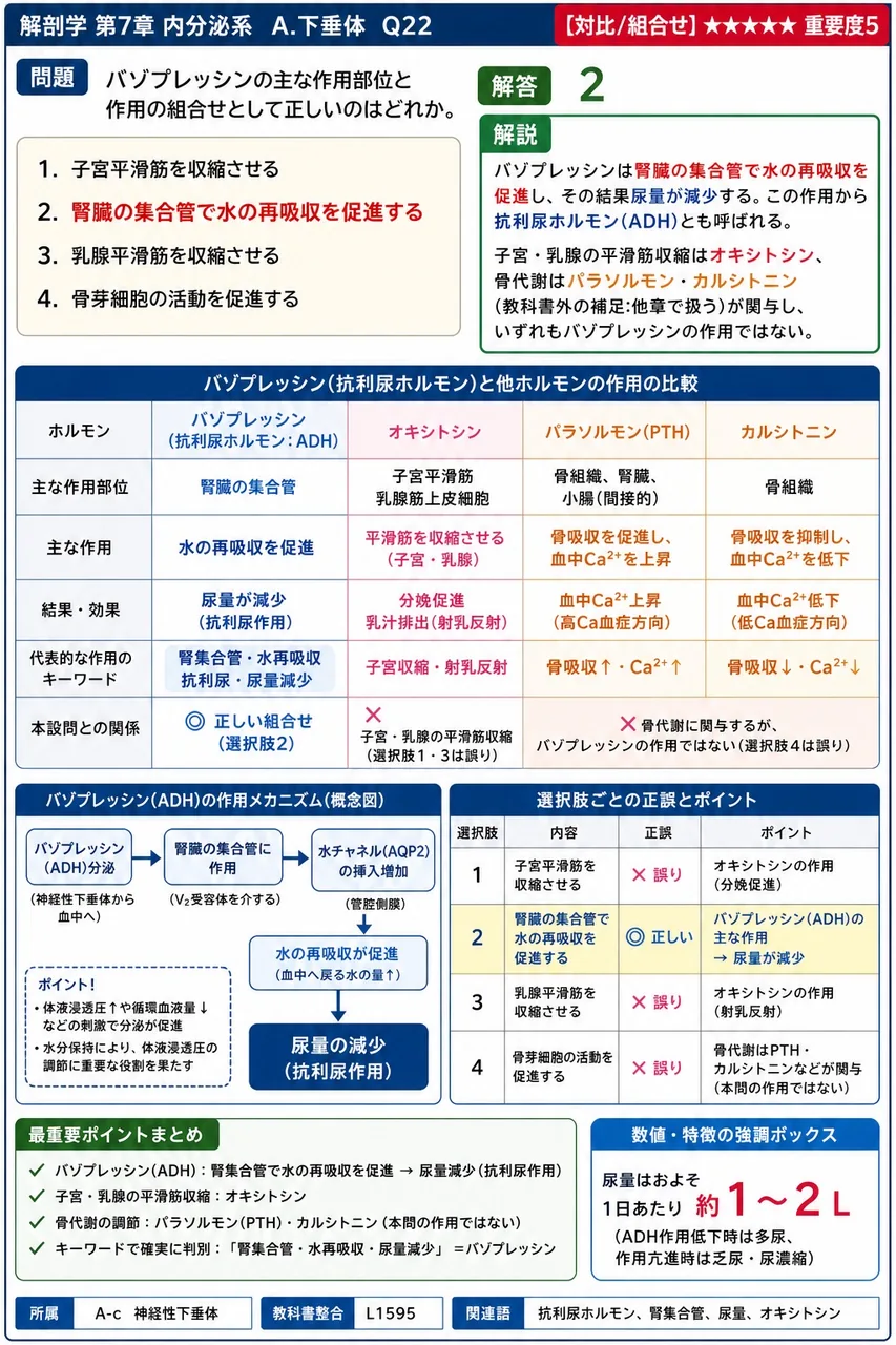 バゾプレッシンの主な作用部位と作用の組合せとして正しいのはどれか。 解説図