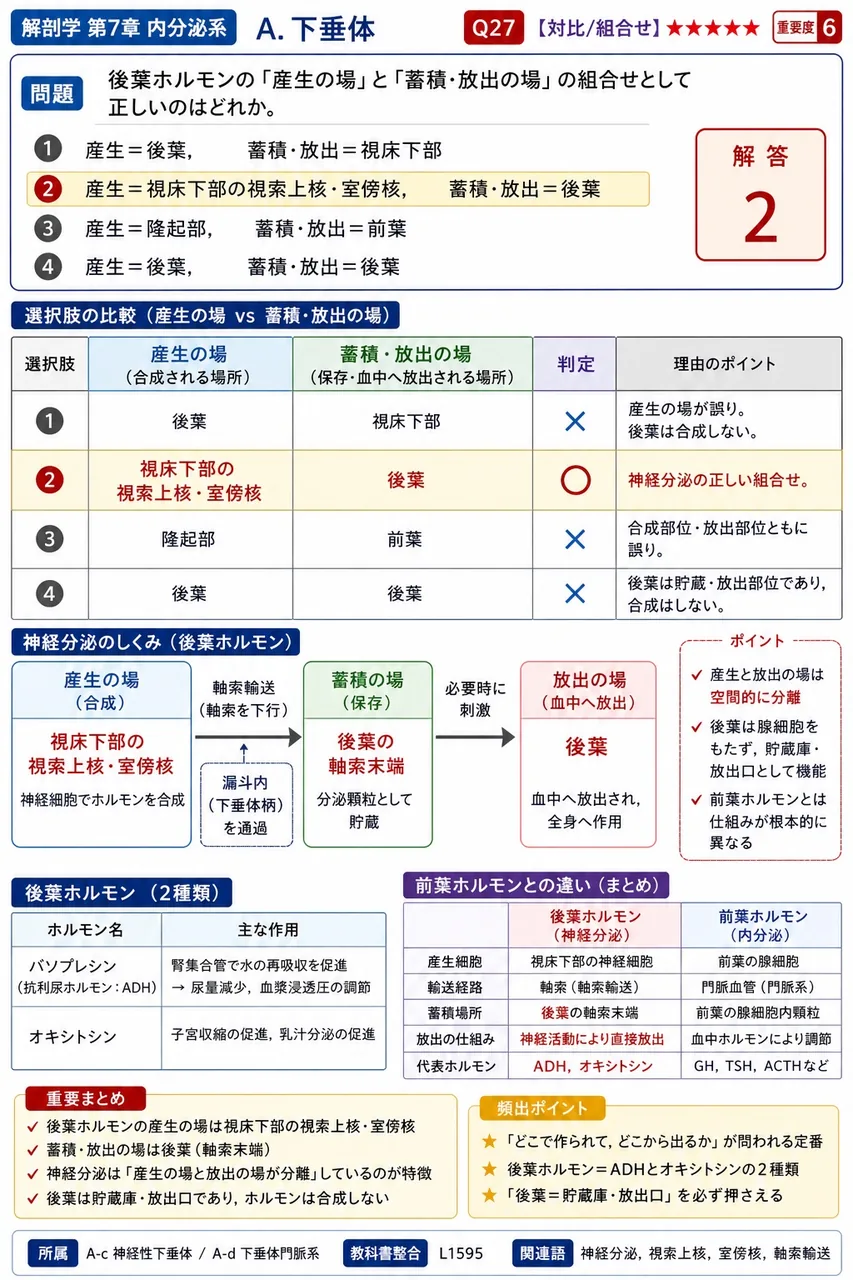 後葉ホルモンの「産生の場」と「蓄積・放出の場」の組合せとして正しいのはどれか。 解説図