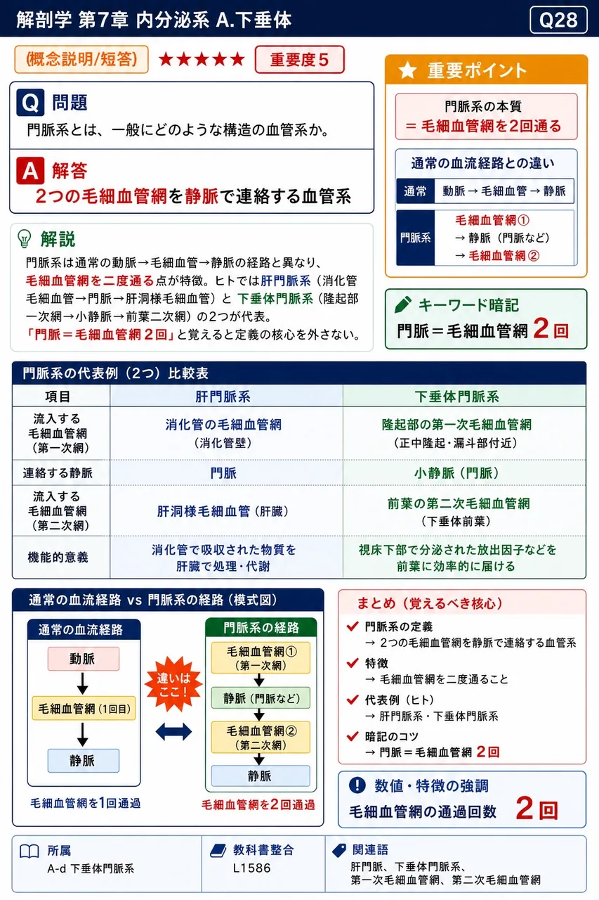 門脈系とは、一般にどのような構造の血管系か。 解説図