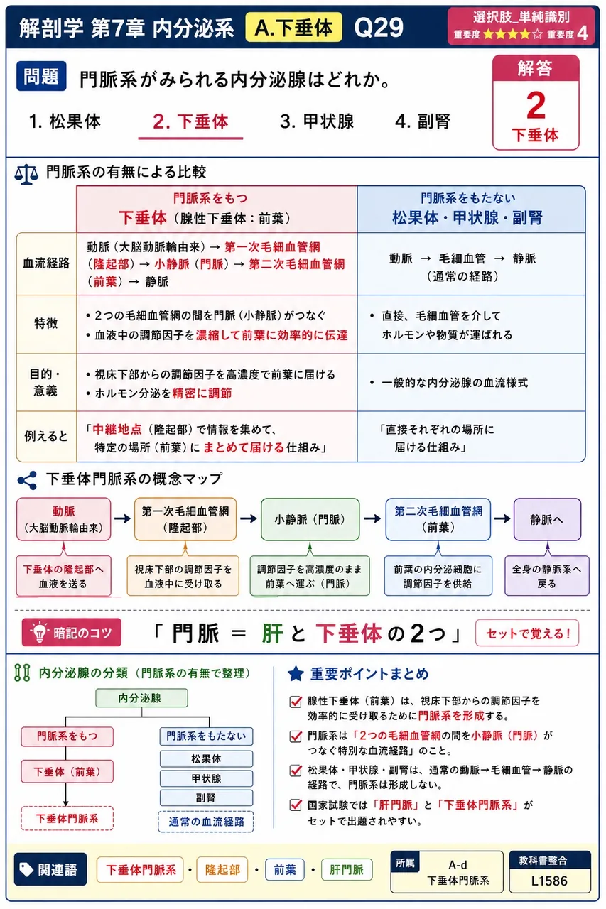 門脈系がみられる内分泌腺はどれか。 解説図