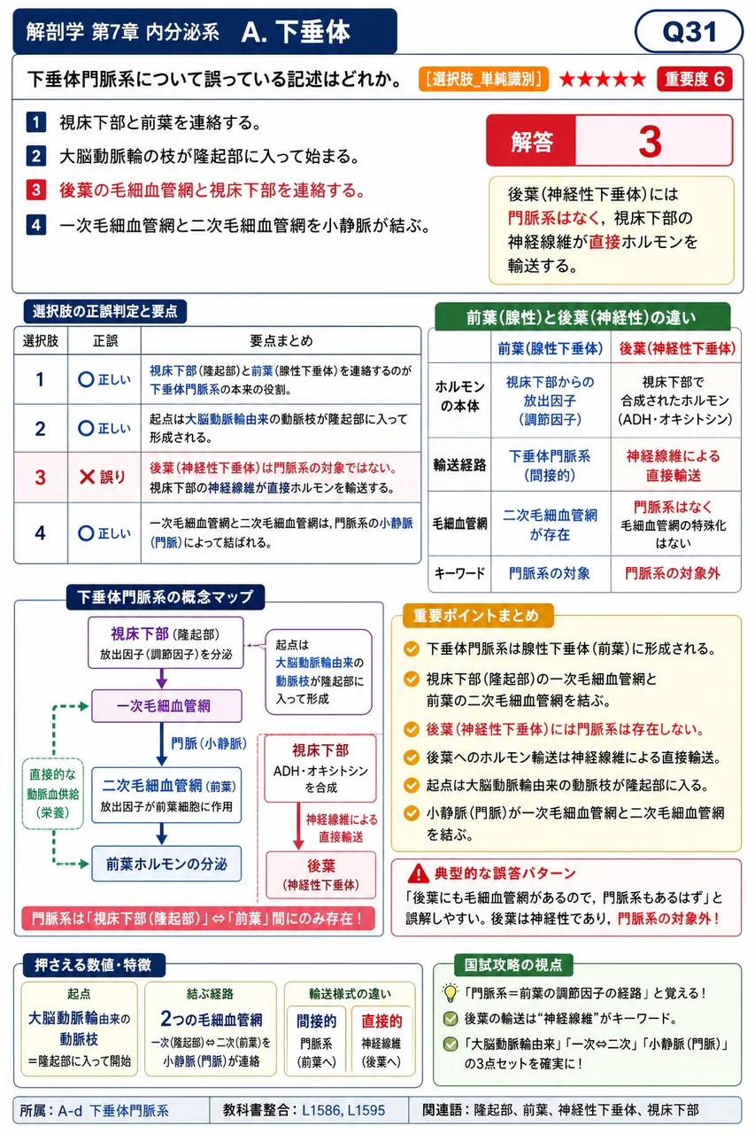 下垂体門脈系について誤っている記述はどれか。 解説図