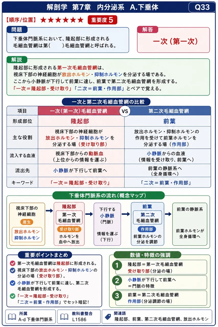 下垂体門脈系において、隆起部に形成される毛細血管網は第( )毛細血管網と呼ばれる。 解説図