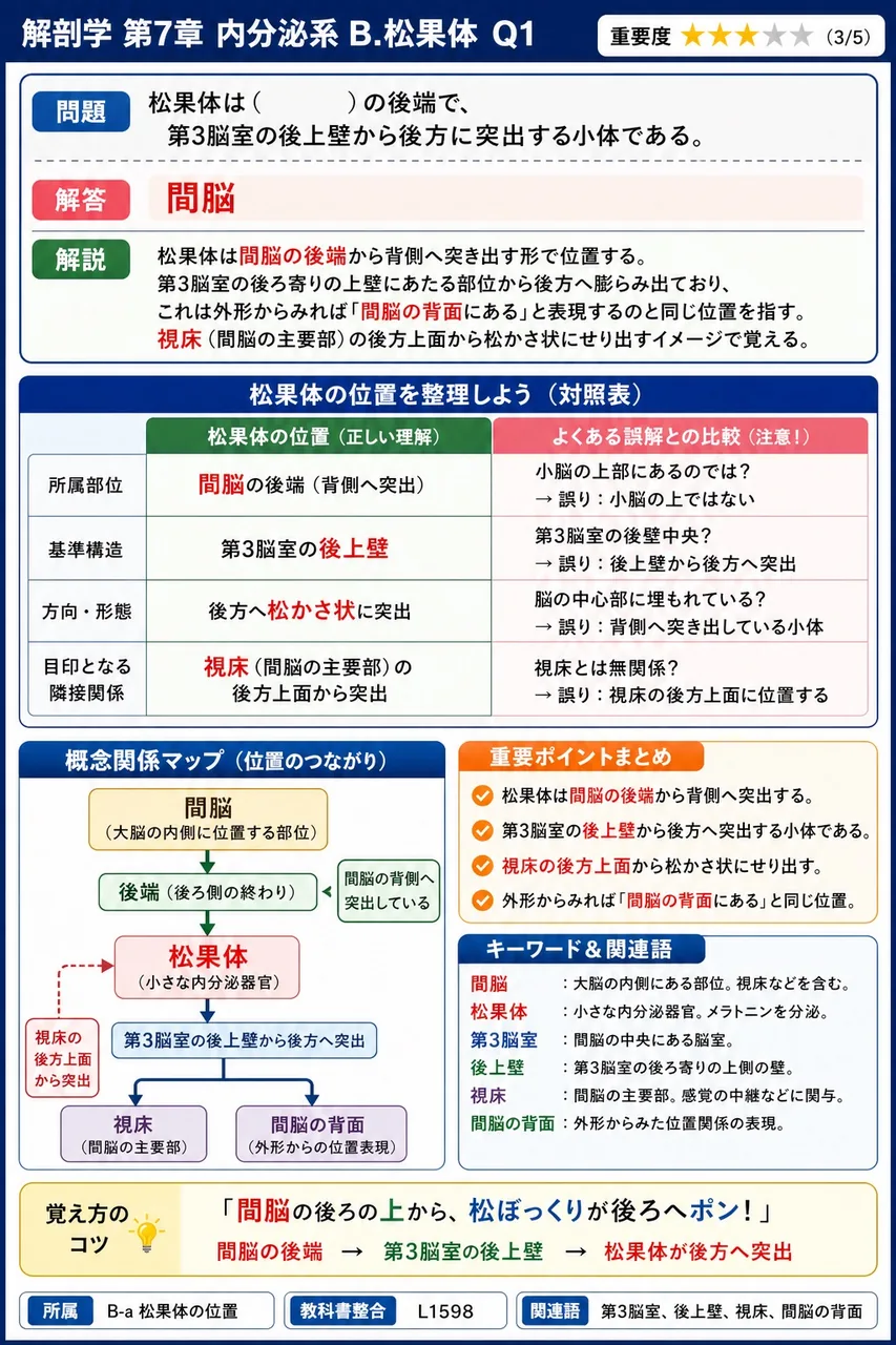 松果体は( )の後端で、第3脳室の後上壁から後方に突出する小体である。 解説図