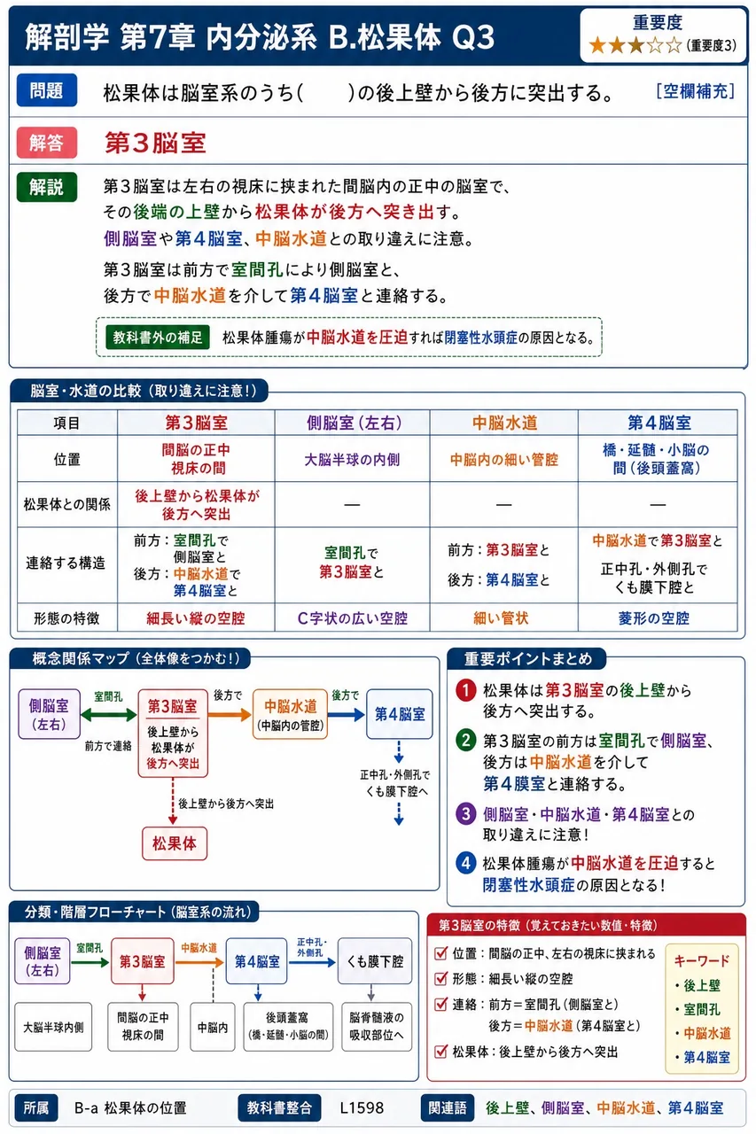 松果体は脳室系のうち( )の後上壁から後方に突出する。 解説図
