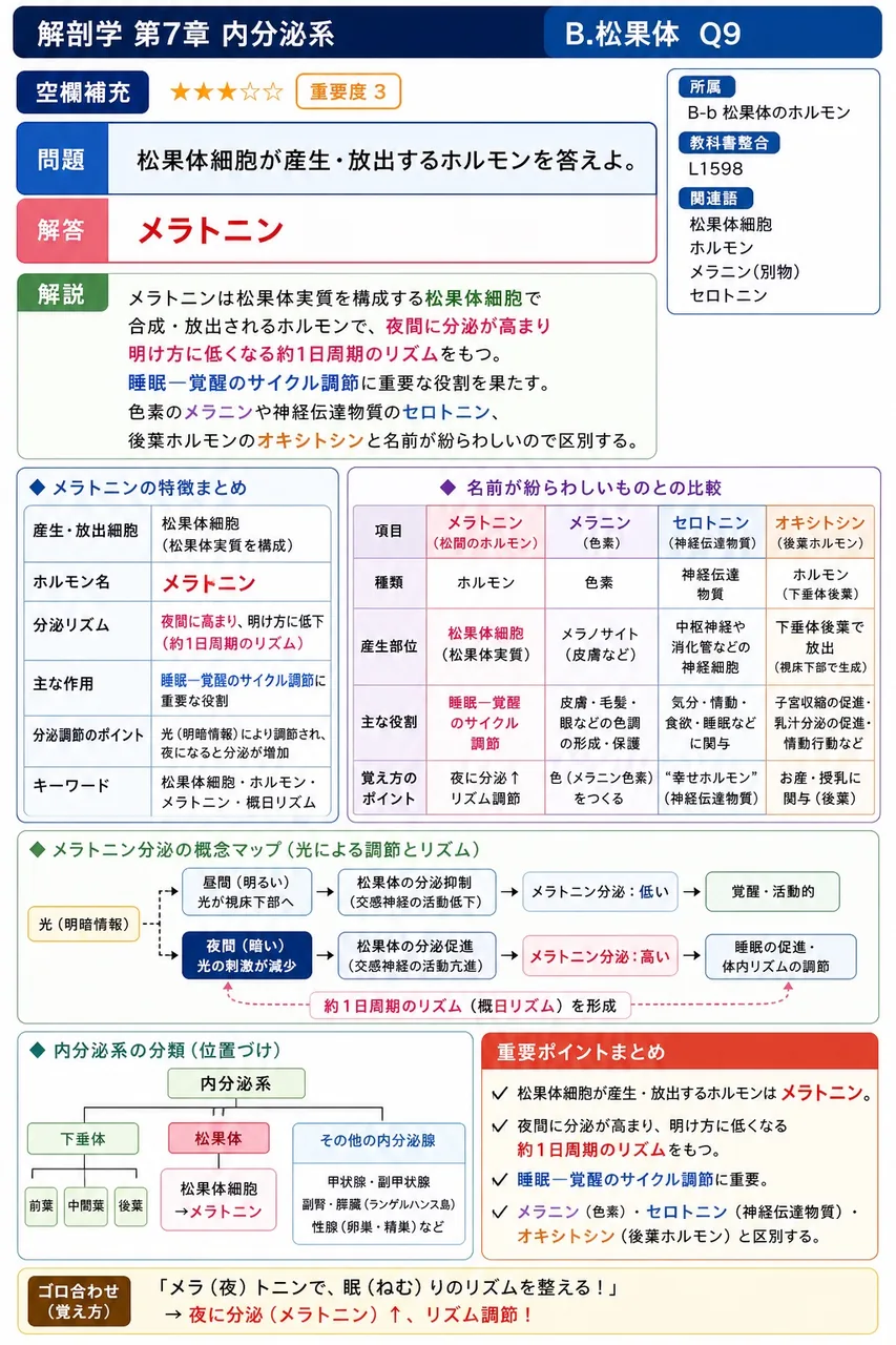 松果体細胞が産生・放出するホルモンを答えよ。 解説図