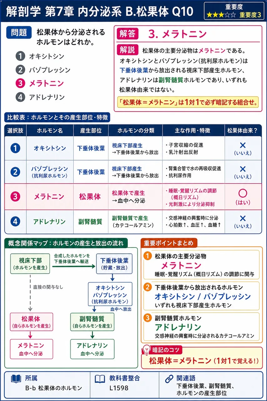 松果体から分泌されるホルモンはどれか。 解説図