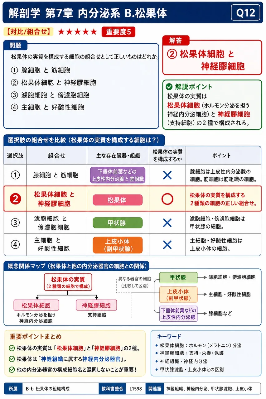 松果体の実質を構成する細胞の組合せとして正しいものはどれか。 解説図