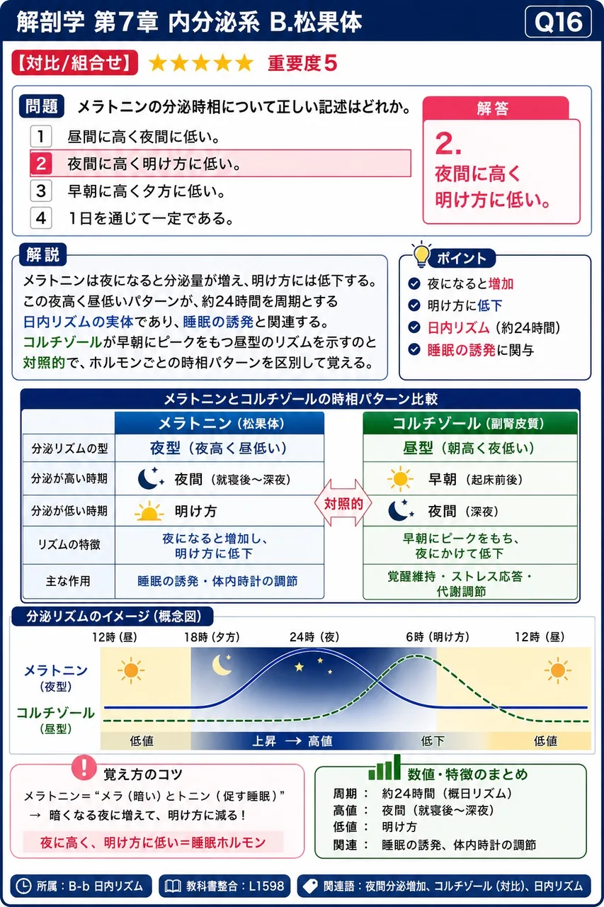 メラトニンの分泌時相について正しい記述はどれか。 解説図