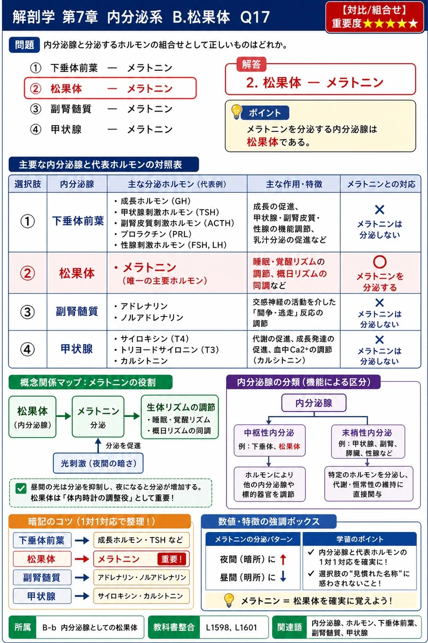 内分泌腺と分泌するホルモンの組合せとして正しいものはどれか。 解説図