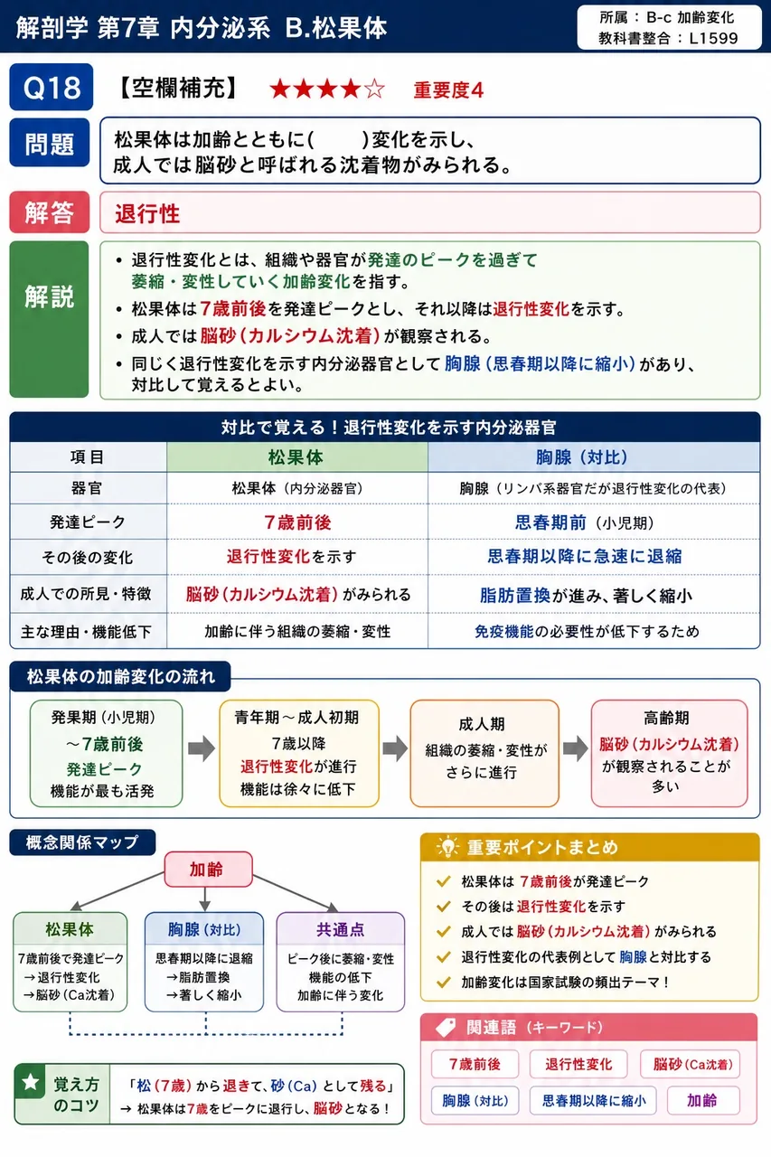 松果体は加齢とともに( )変化を示し、成人では脳砂と呼ばれる沈着物がみられる。 解説図