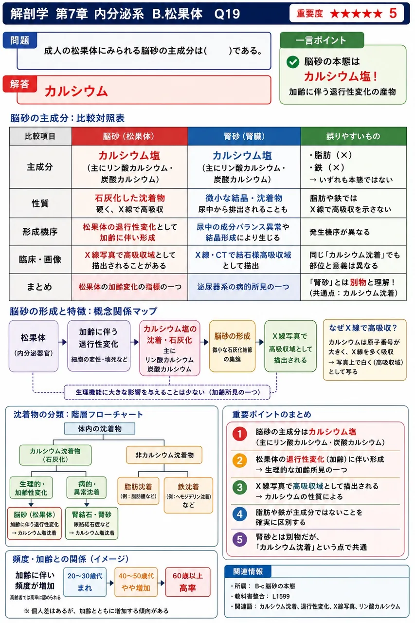 成人の松果体にみられる脳砂の主成分は( )である。 解説図