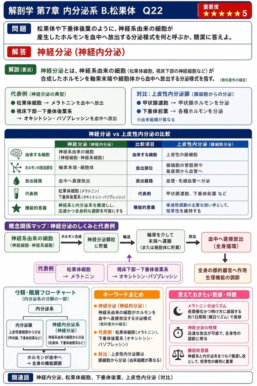 松果体や下垂体後葉のように、神経系由来の細胞が産生したホルモンを血中へ放出する分泌様式を何と呼ぶか、簡潔に答えよ。 解説図