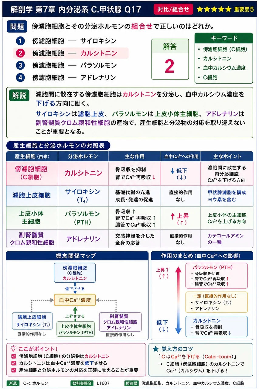 傍濾胞細胞とその分泌ホルモンの組合せで正しいのはどれか。 解説図
