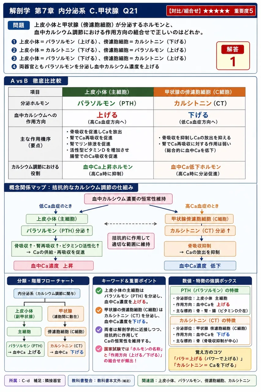上皮小体と甲状腺(傍濾胞細胞)が分泌するホルモンと、血中カルシウム調節における作用方向の組合せで正しいのはどれか。 解説図
