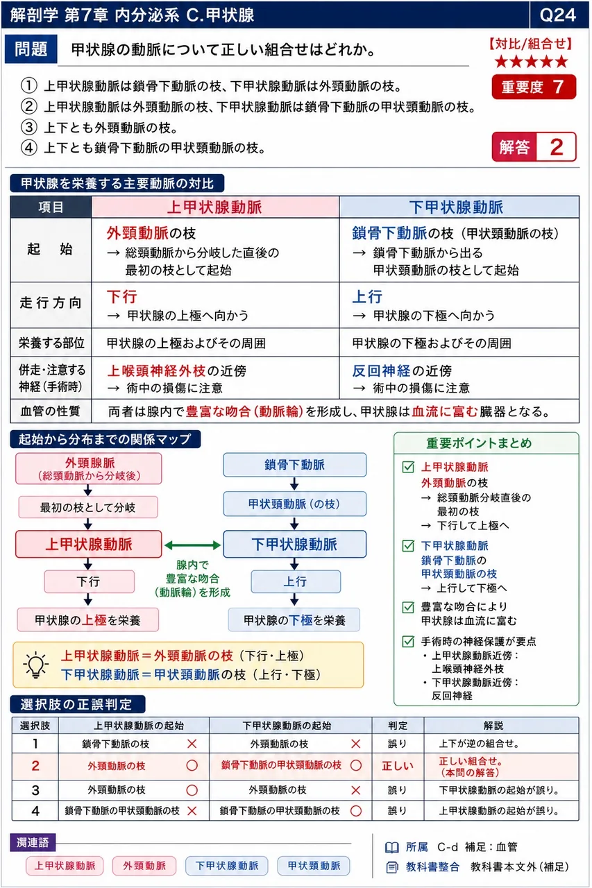 甲状腺の動脈について正しい組合せはどれか。 解説図