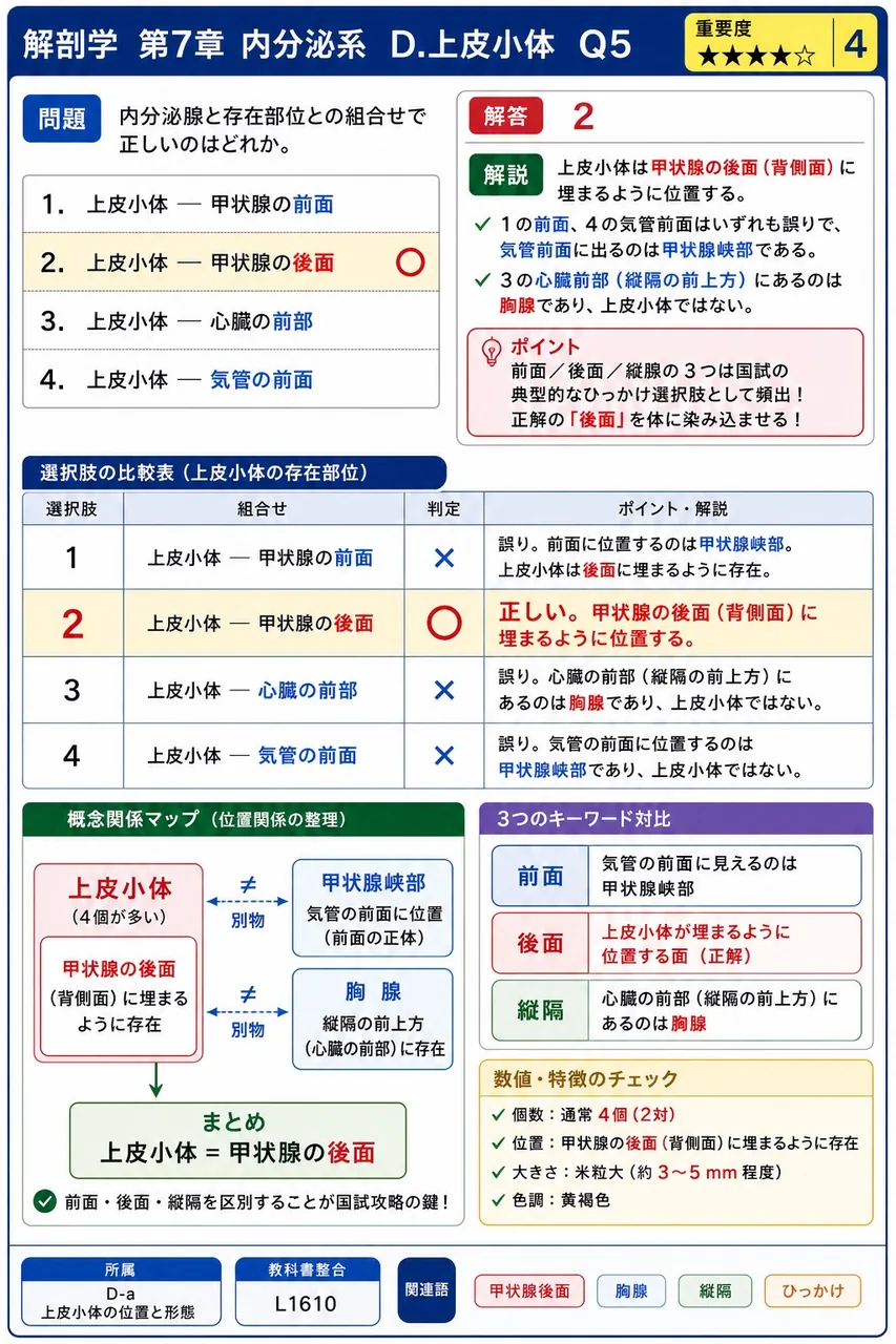 内分泌腺と存在部位との組合せで正しいのはどれか。 解説図