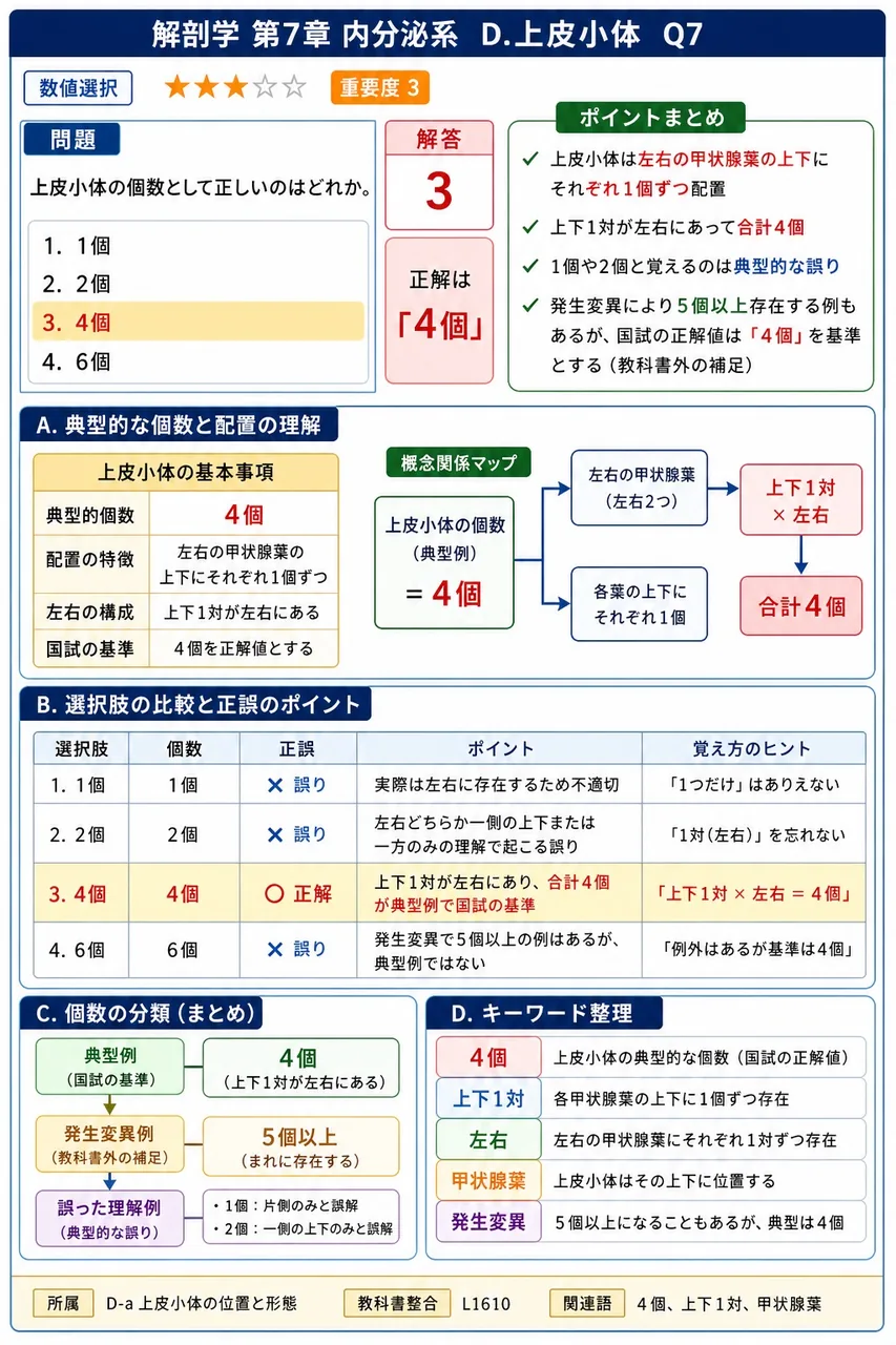 上皮小体の個数として正しいのはどれか。 解説図
