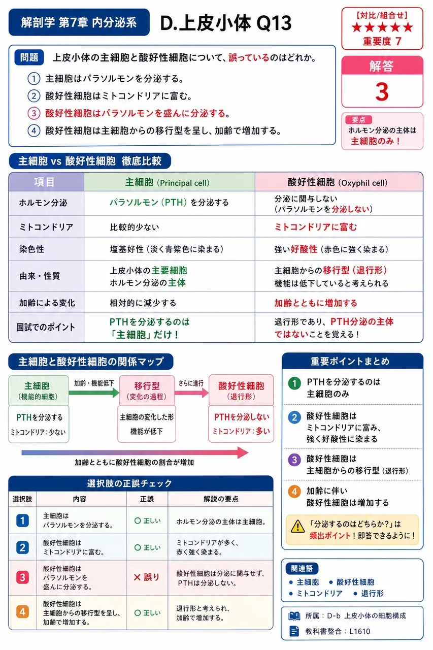 上皮小体の主細胞と酸好性細胞について、誤っているのはどれか。 解説図