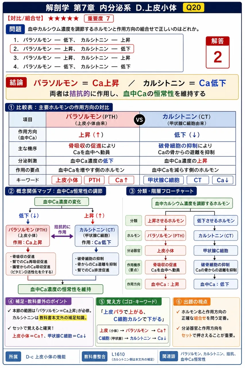 血中カルシウム濃度を調節するホルモンと作用方向の組合せで正しいのはどれか。 解説図