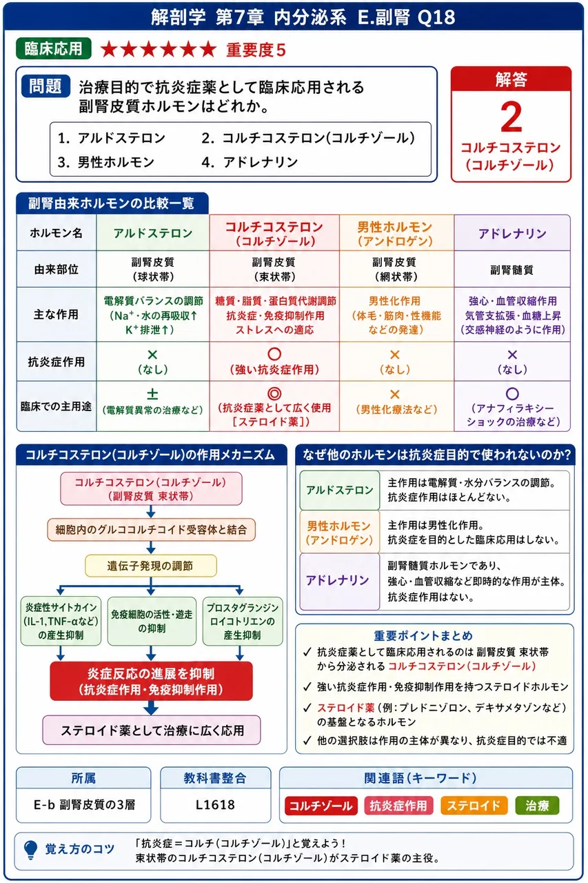 治療目的で抗炎症薬として臨床応用される副腎皮質ホルモンはどれか。 解説図