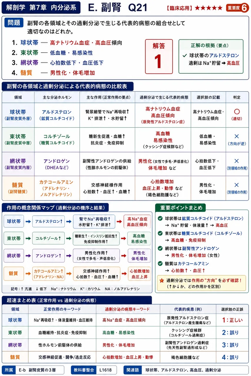 副腎の各領域とその過剰分泌で生じる代表的病態の組合せとして適切なのはどれか。 解説図