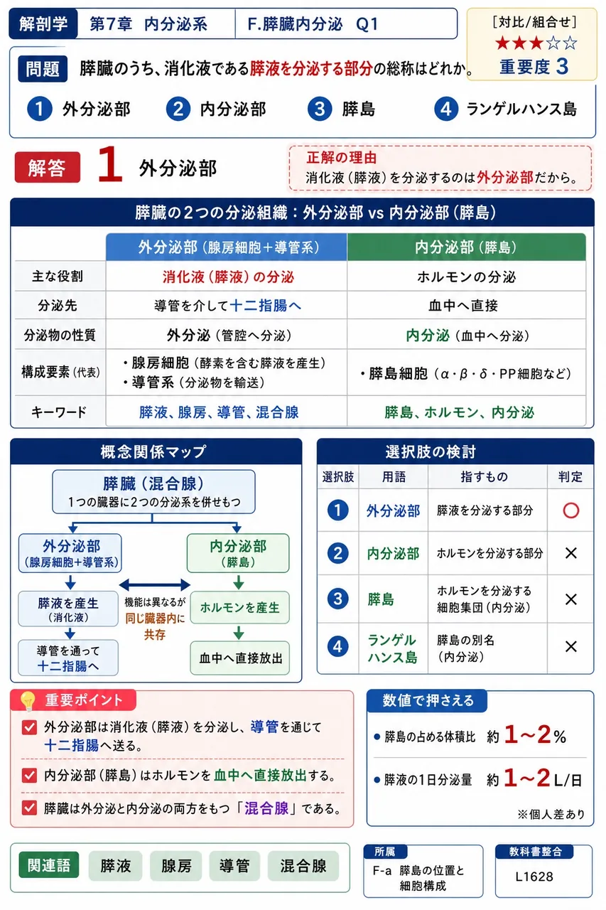 膵臓のうち、消化液である膵液を分泌する部分の総称はどれか。 解説図