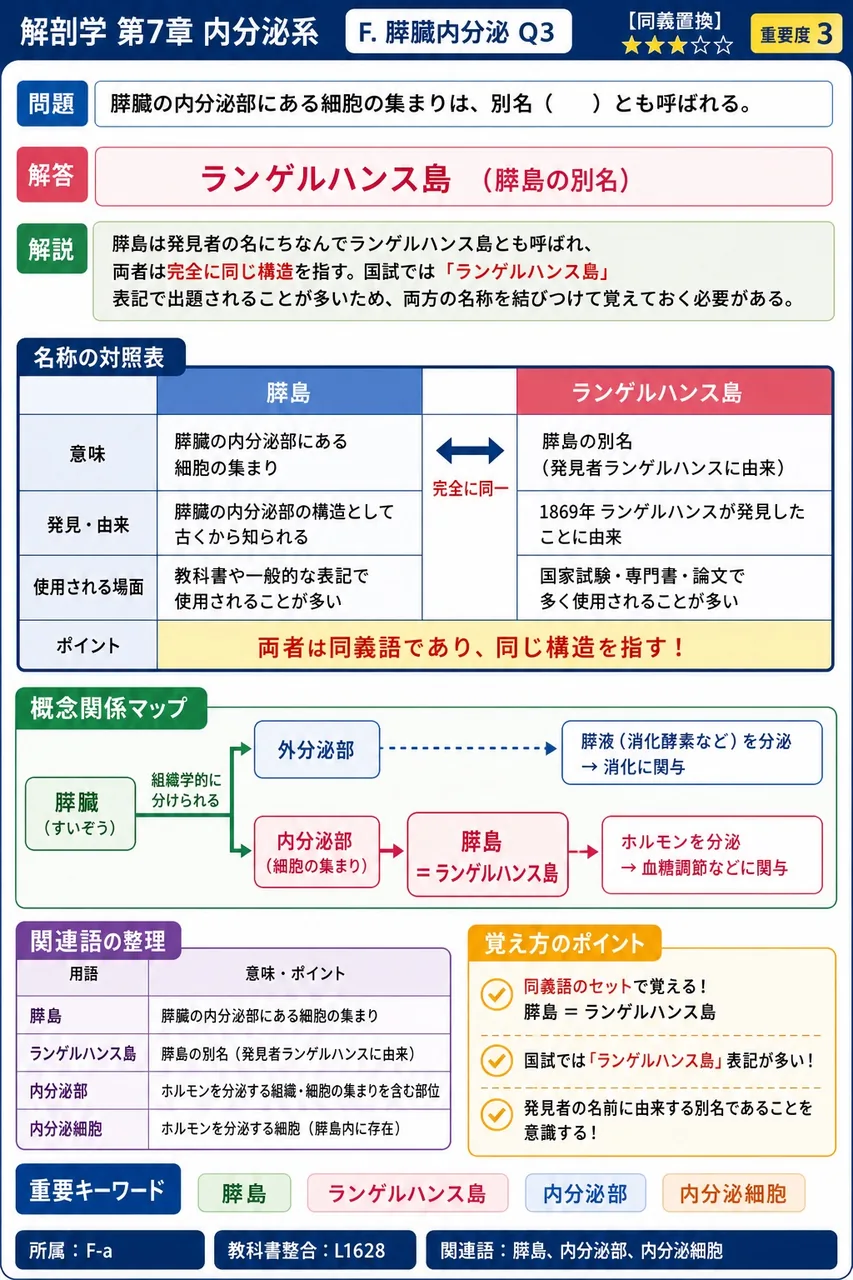 膵臓の内分泌部にある細胞の集まりは、別名（ ）とも呼ばれる。 解説図