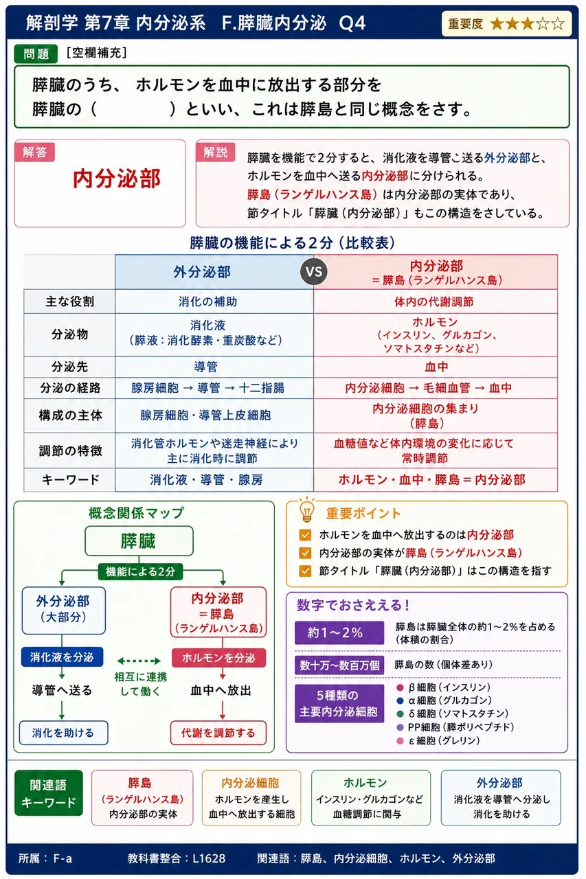膵臓のうち、ホルモンを血中に放出する部分を膵臓の( )といい、これは膵島と同じ概念をさす。 解説図