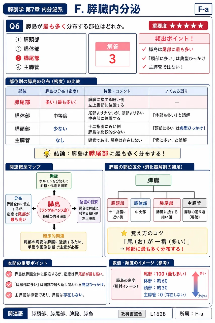 膵島が最も多く分布する部位はどれか。 解説図