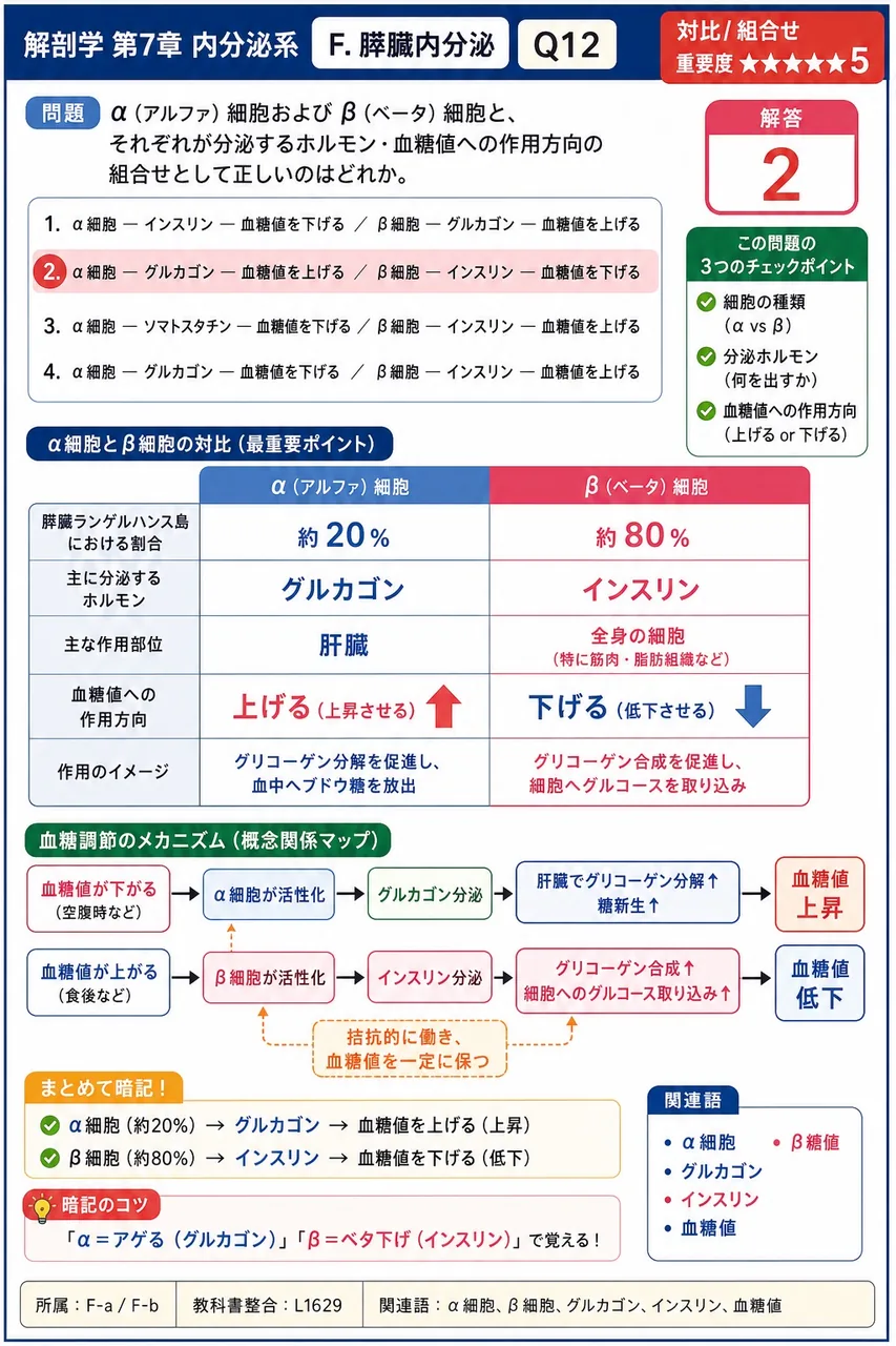 α（アルファ）細胞および β（ベータ）細胞と、それぞれが分泌するホルモン・血糖値への作用方向の組合せとして正しいのはどれか。 解説図