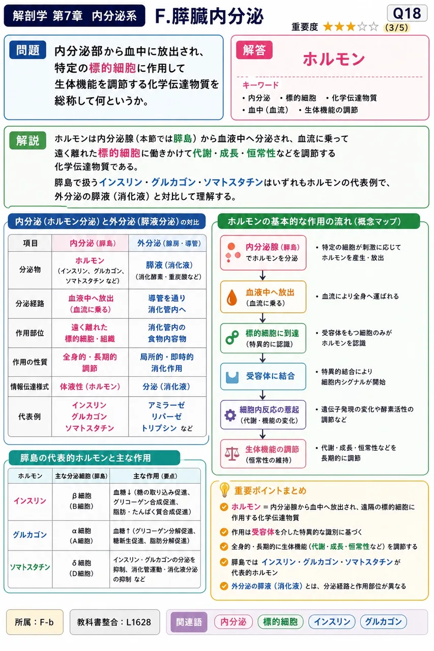 内分泌部から血中に放出され、特定の標的細胞に作用して生体機能を調節する化学伝達物質を総称して何というか。 解説図