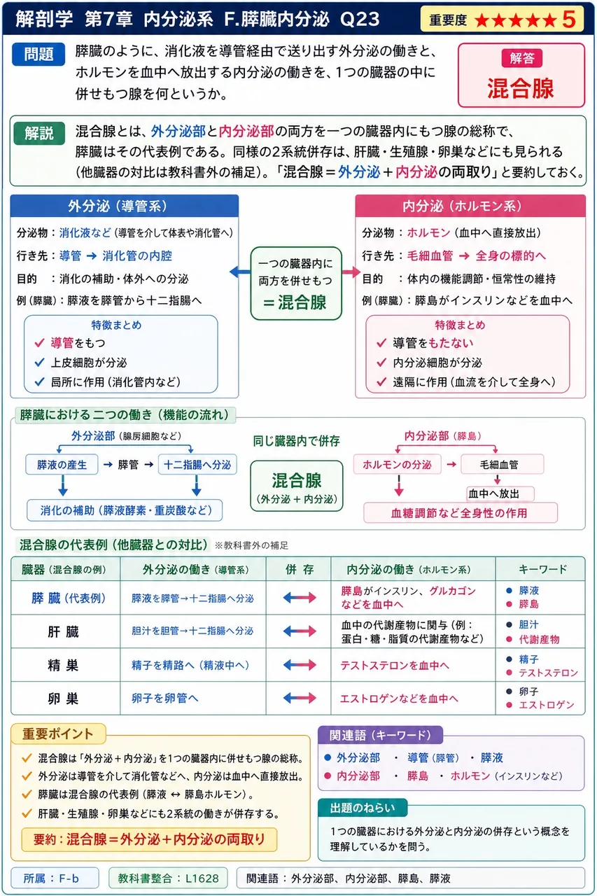 膵臓のように、消化液を導管経由で送り出す外分泌の働きと、ホルモンを血中へ放出する内分泌の働きを、1つの臓器の中に併せもつ腺を何というか。 解説図