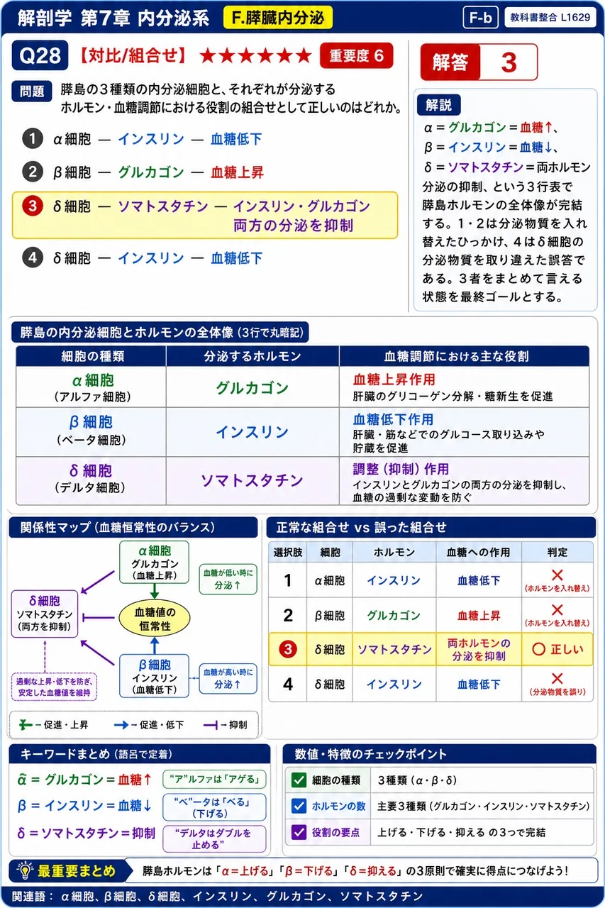 膵島の3種類の内分泌細胞と、それぞれが分泌するホルモン・血糖調節における役割の組合せとして正しいのはどれか。 解説図