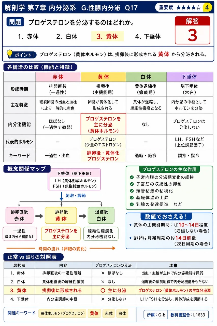 プロゲステロンを分泌するのはどれか。 解説図