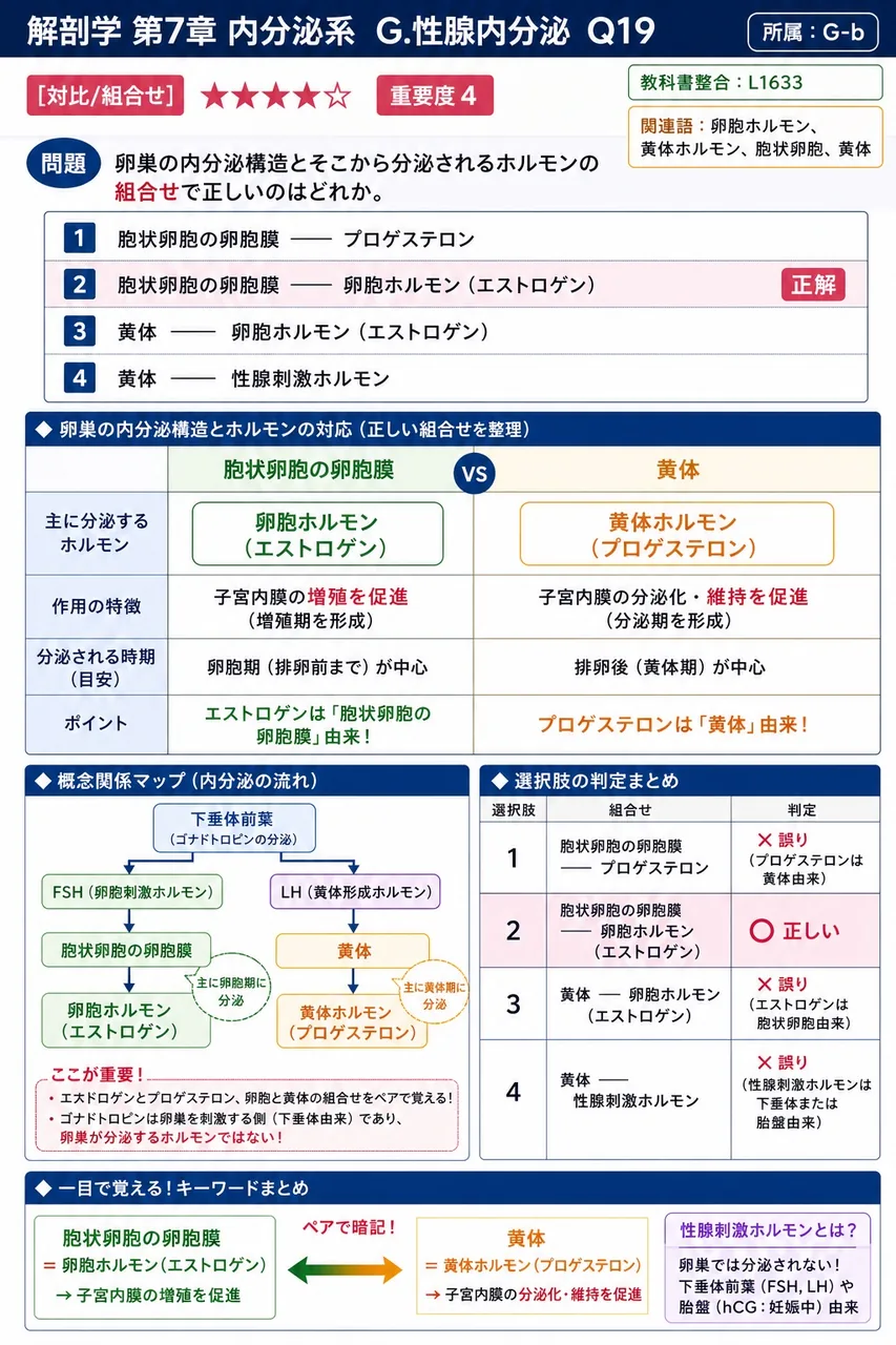 卵巣の内分泌構造とそこから分泌されるホルモンの組合せで正しいのはどれか。 解説図