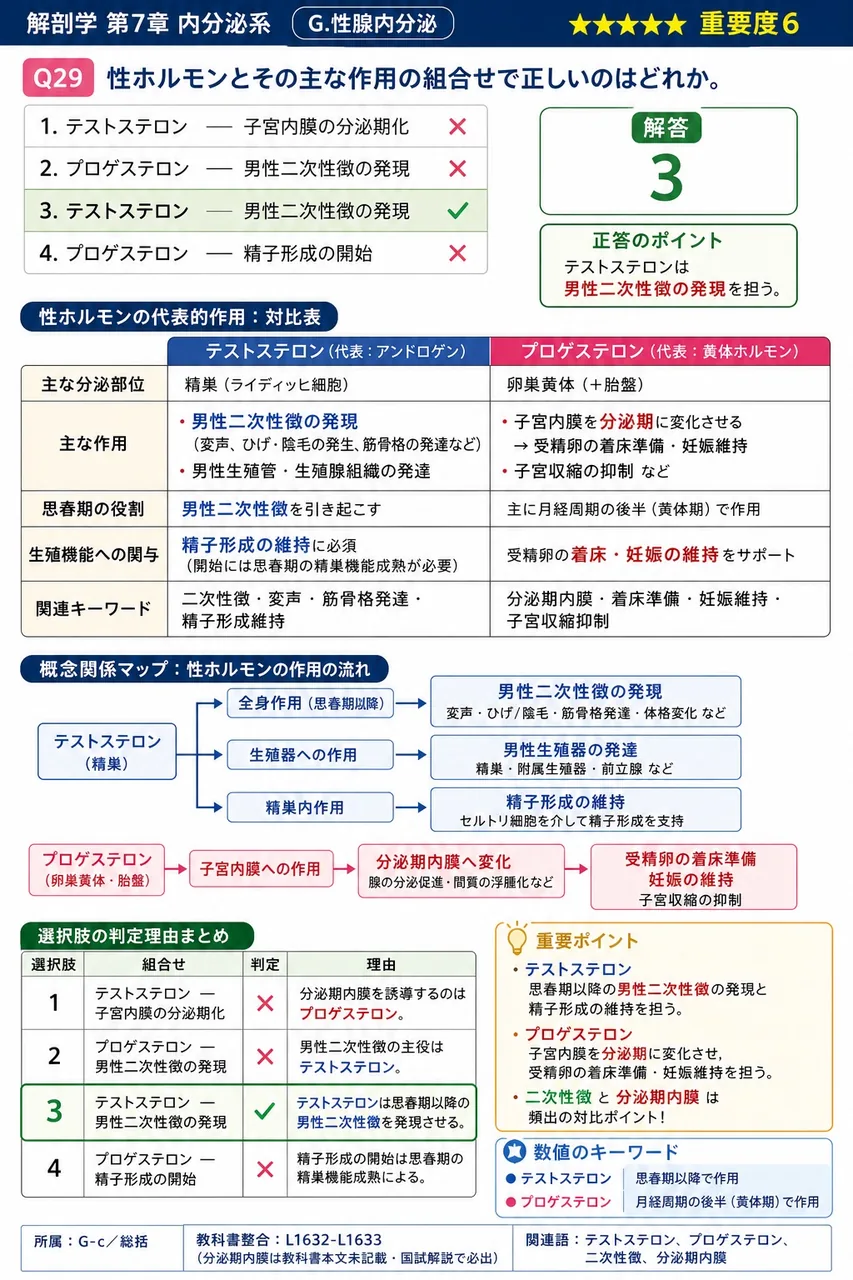 性ホルモンとその主な作用の組合せで正しいのはどれか。 解説図