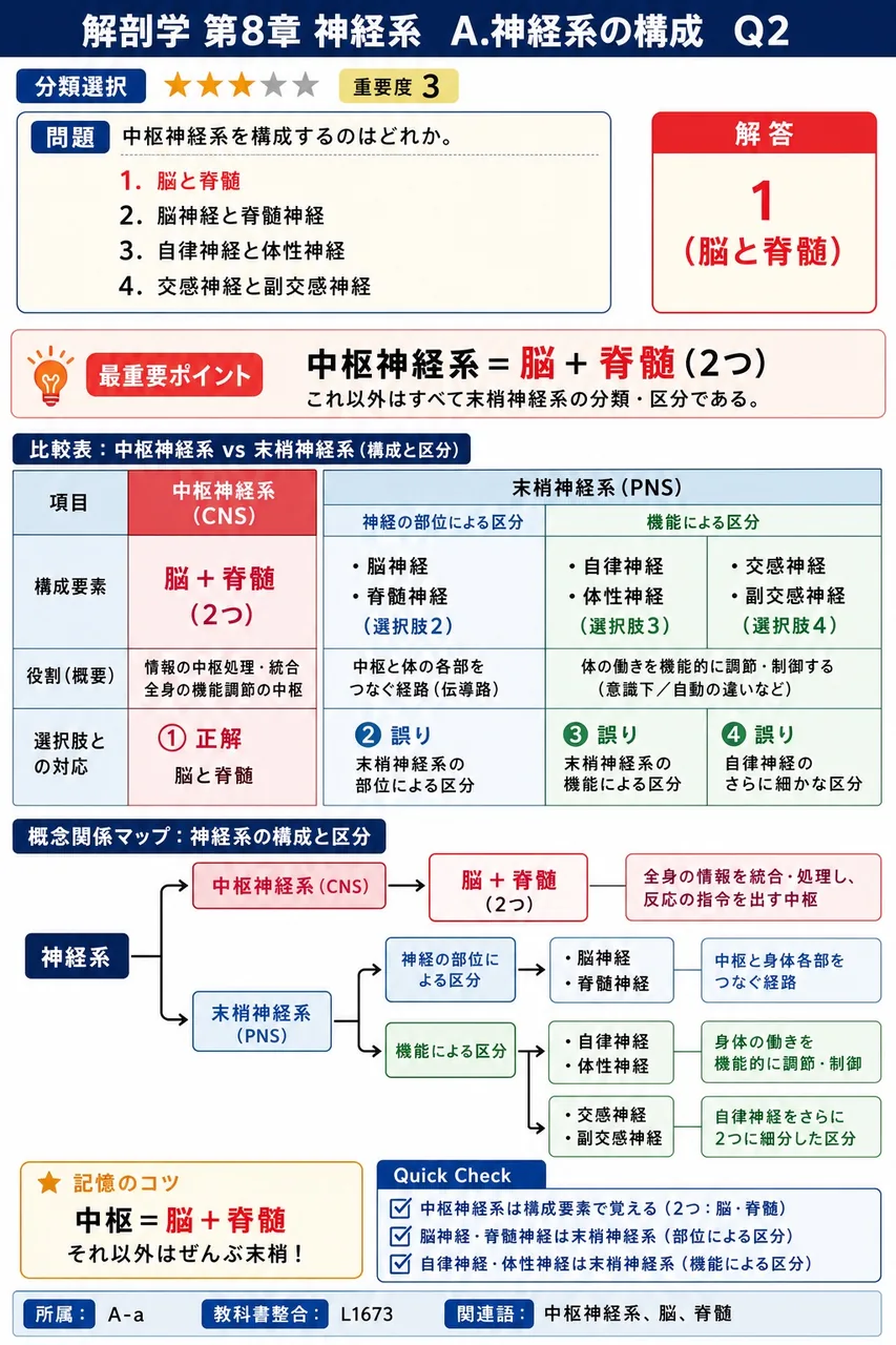 中枢神経系を構成するのはどれか。 解説図
