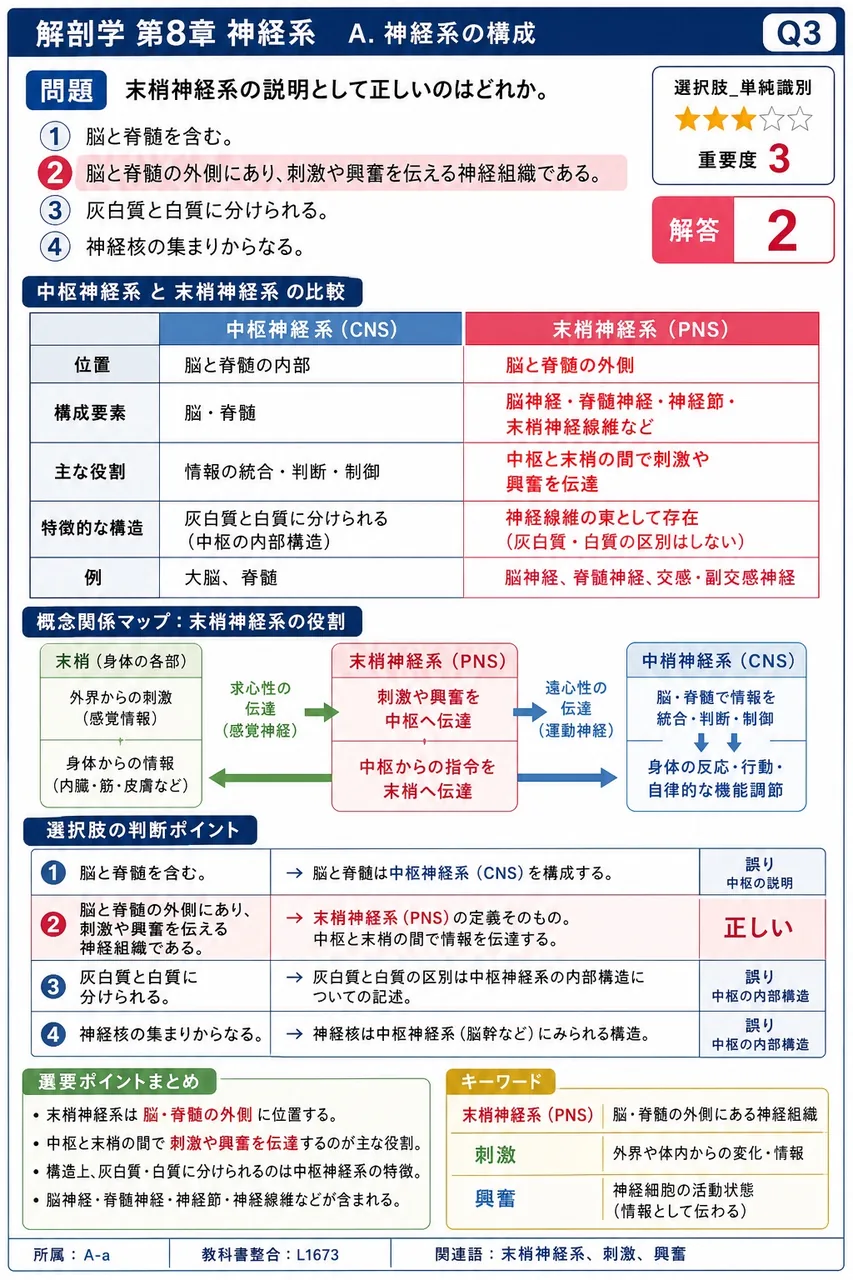 末梢神経系の説明として正しいのはどれか。 解説図