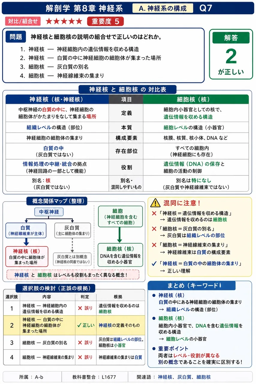 神経核と細胞核の説明の組合せで正しいのはどれか。 解説図