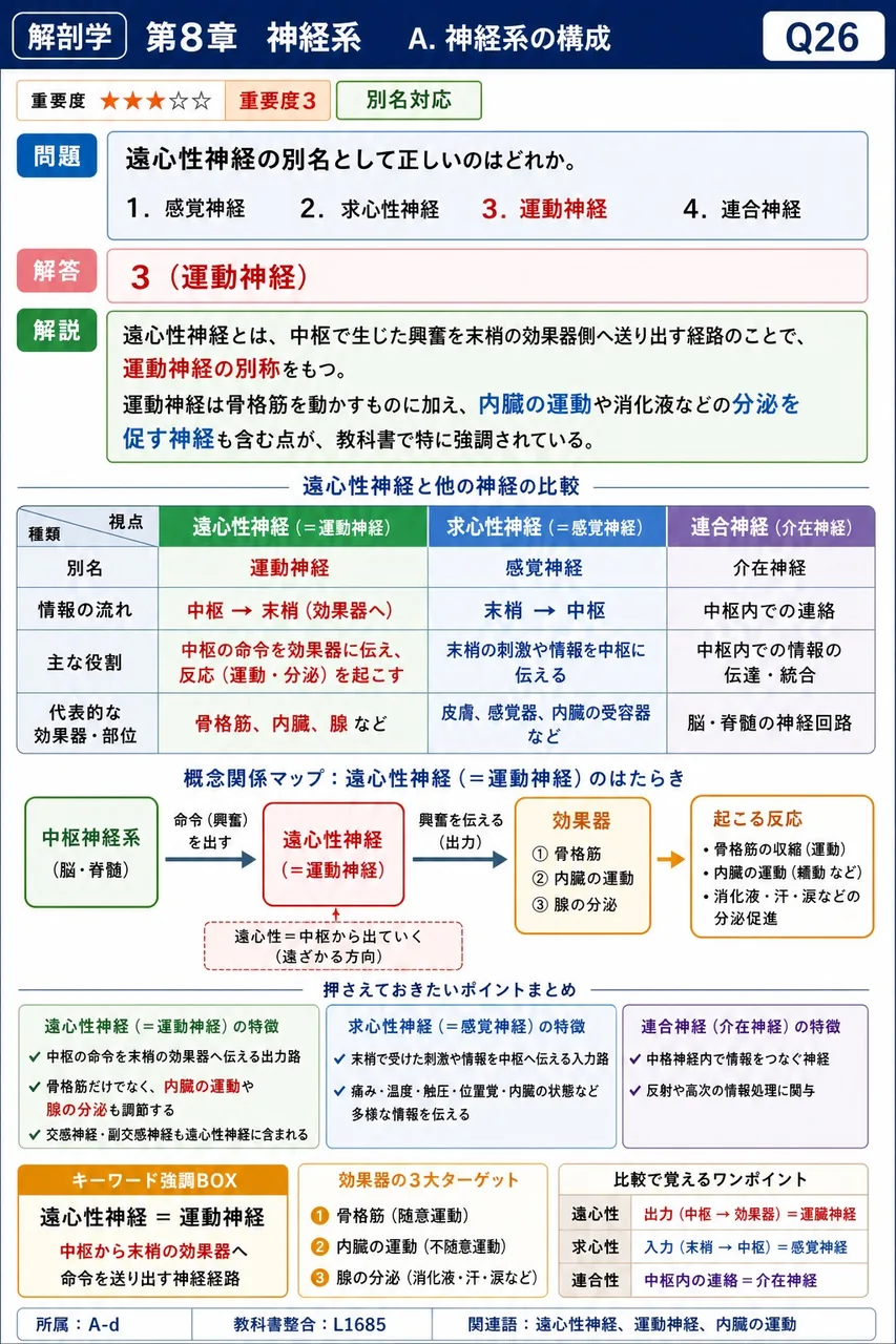 遠心性神経の別名として正しいのはどれか。 解説図