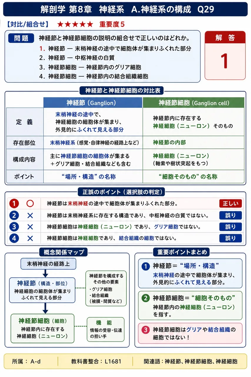 神経節と神経節細胞の説明の組合せで正しいのはどれか。 解説図